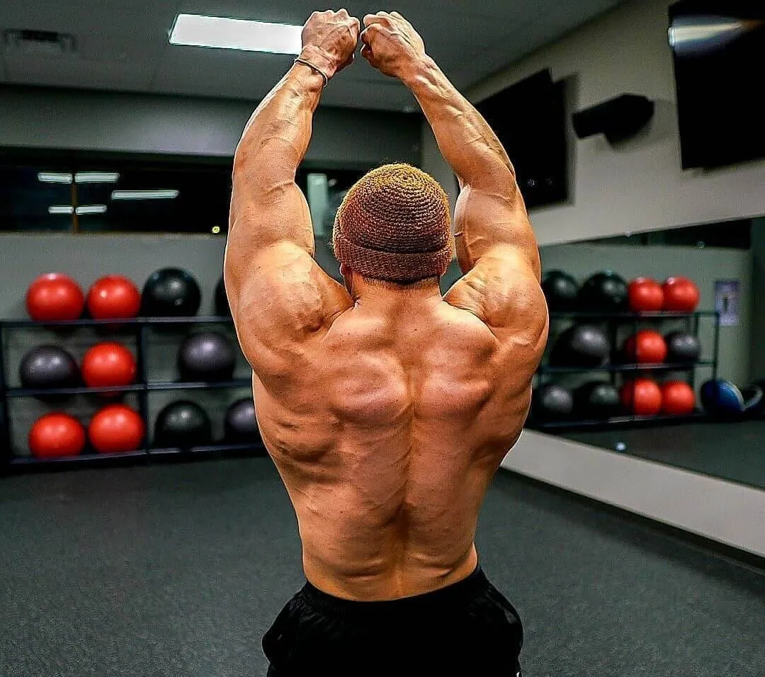 Los Mejores Suplementos para el Desarrollo Muscular